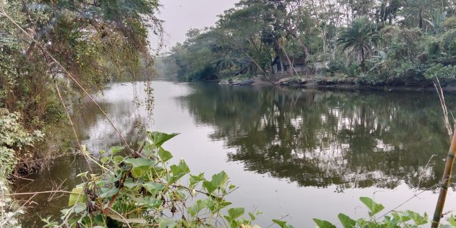 kalapara