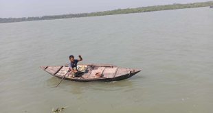 ডিঙ্গি নৌকায় ভেসে বড়শি দিয়ে মাছ শিকারে ব্যস্ত জেলে